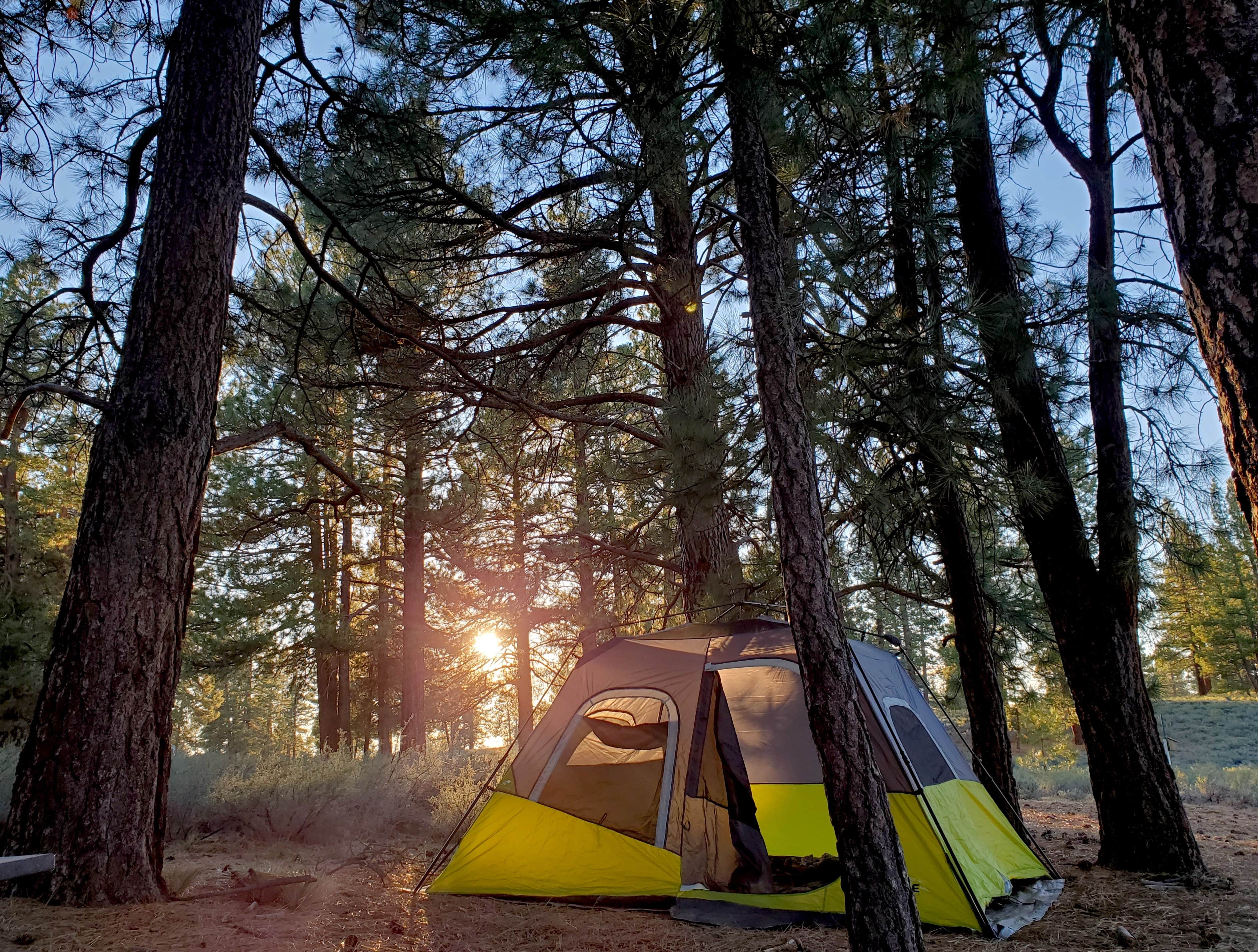 Chip's photo at Alpine Meadow Campground near Tahoe City, CA