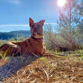 Review photo of Alpine Meadow Campground by Chip , May 31, 2021