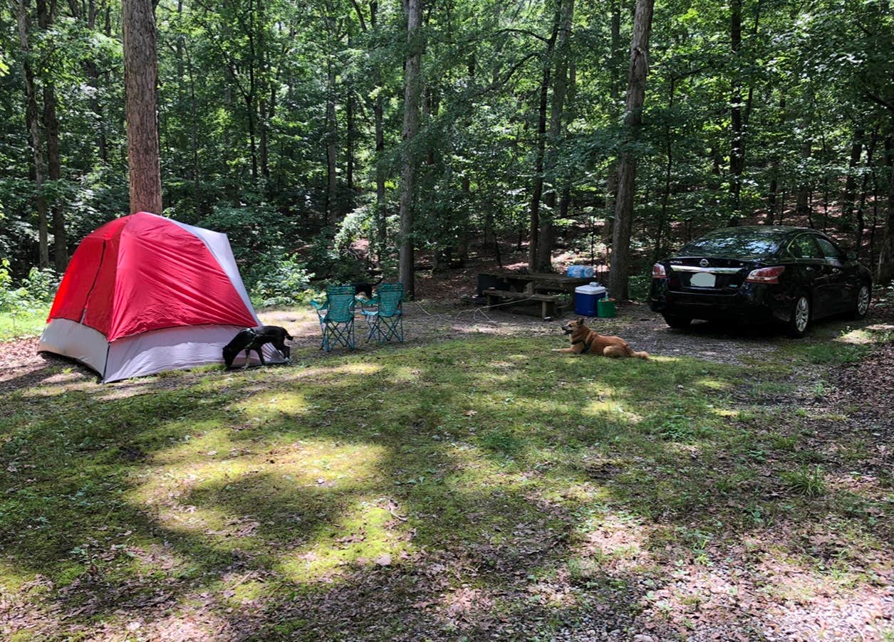 Camper submitted image from Taylor Bay Campground - 5