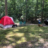Review photo of Taylor Bay Campground by Morgan L., May 31, 2021