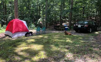 Morgan L.'s photo at Taylor Bay Campground in Kentucky