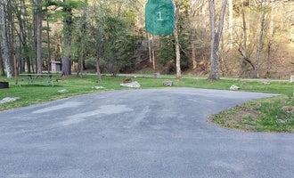 Camping near Brooklyn Heights Riverfront Campground: Horseshoe Recreation Area, Thomas, West Virginia