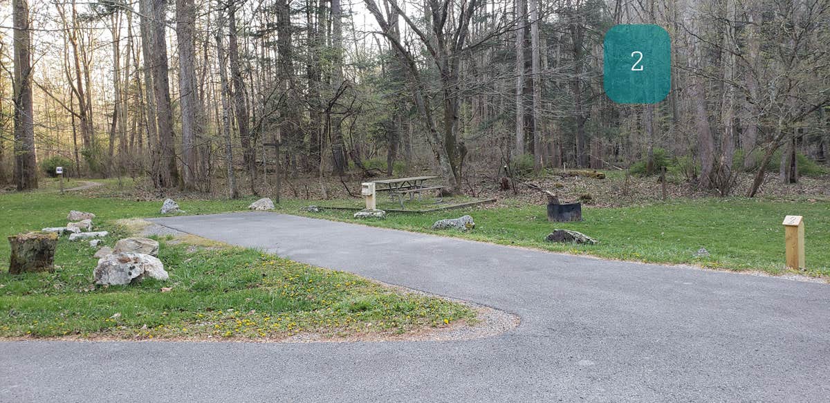 Camper-submitted photo at Horseshoe Recreation Area near Hambleton, WV