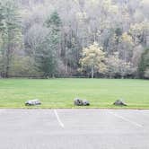 Review photo of Horseshoe Recreation Area by Jean C., May 31, 2021