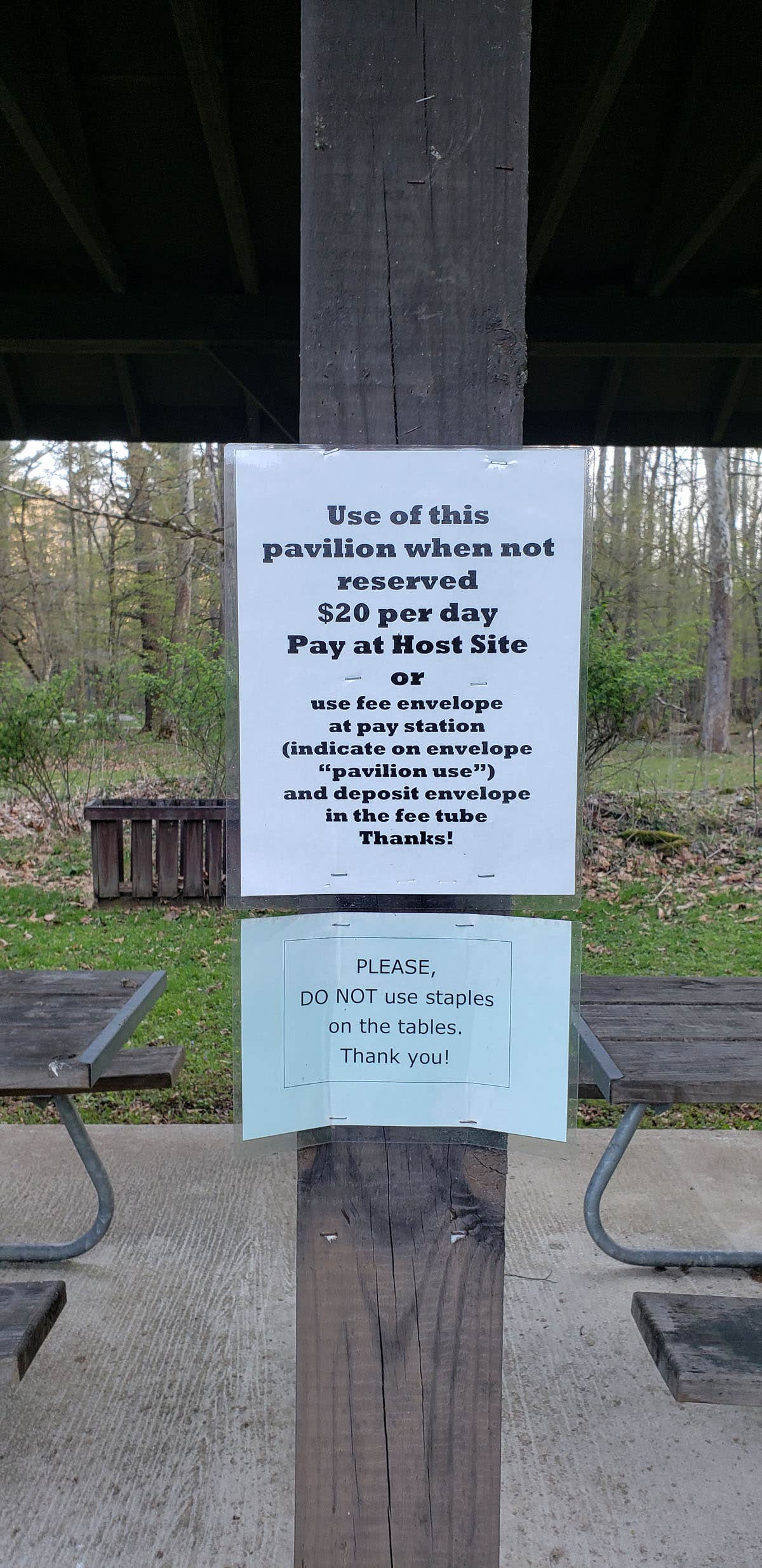 Camper submitted image from Horseshoe Recreation Area - 4