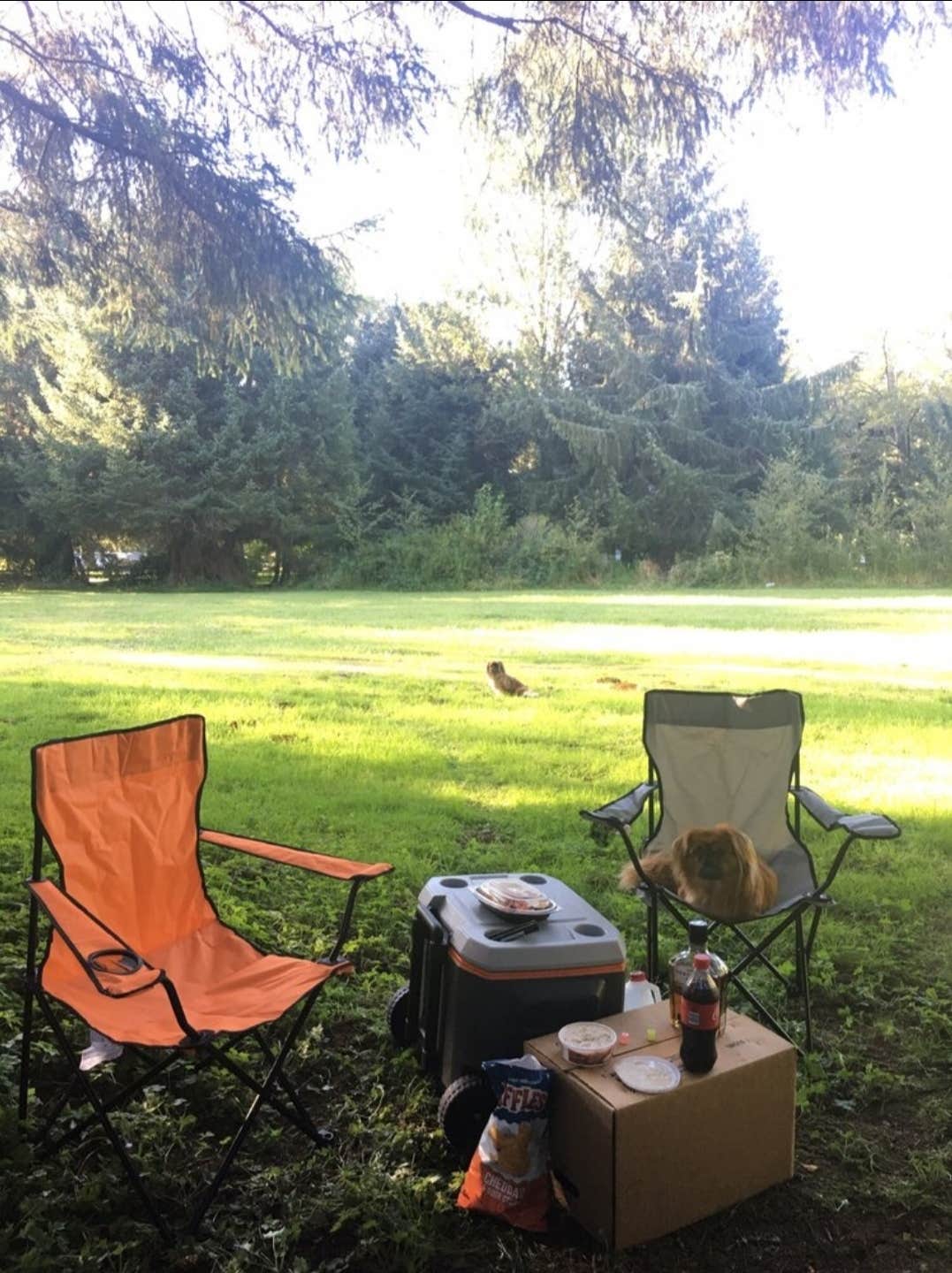 C. W.'s photo at Sunset Landing RV Park near Agate Beach, OR