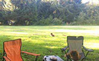 C. W.'s photo at Sunset Landing RV Park near Depoe Bay, OR