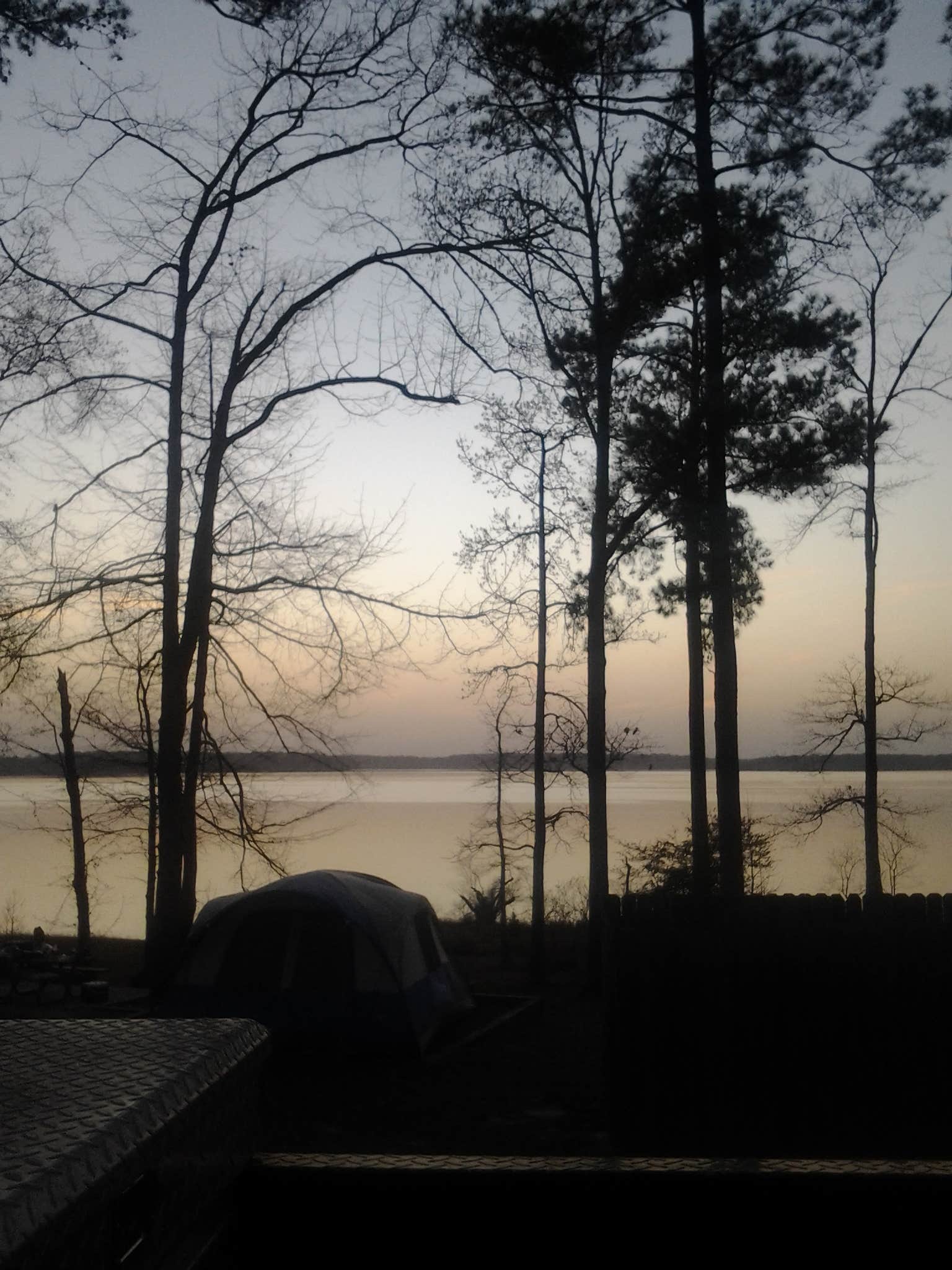 Camper submitted image from COE Sam Rayburn Reservoir San Augustine Park - 3
