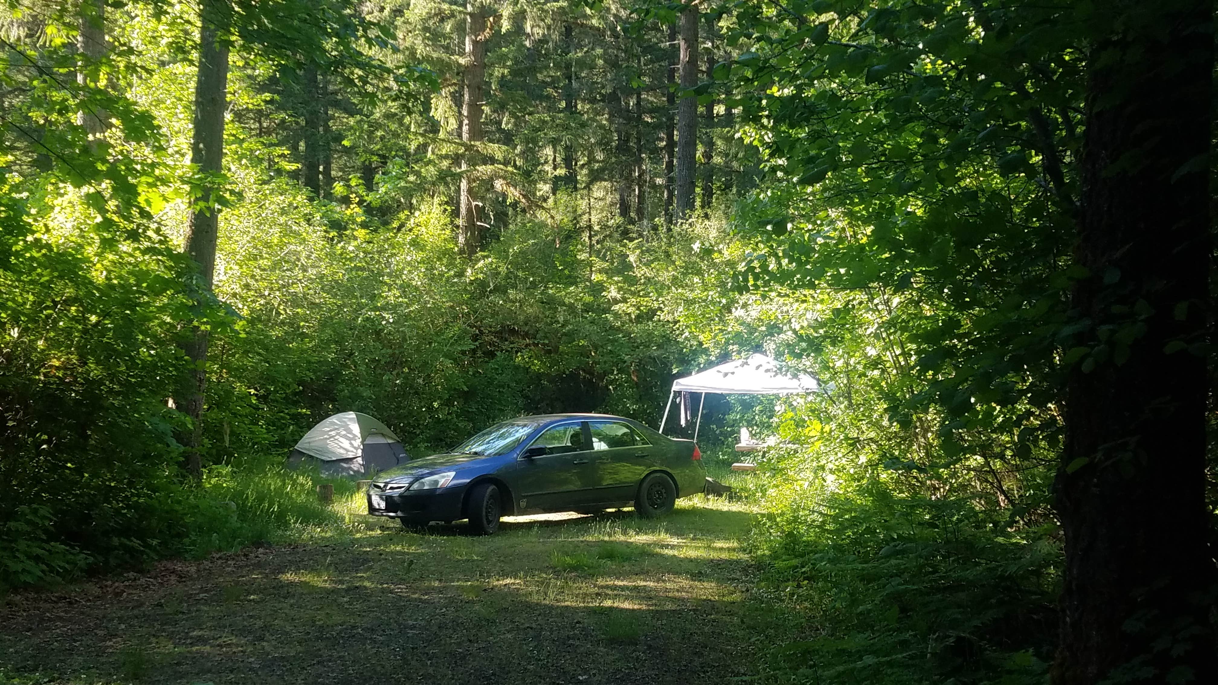 Tj B.'s photo at Rujada Campground near Dorena Lake