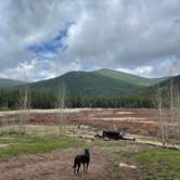 Review photo of Kirby Gulch by Katelyn W., May 31, 2021