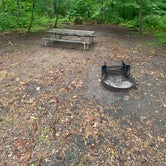 Review photo of French Creek State Park Campground by Michelle L., May 31, 2021