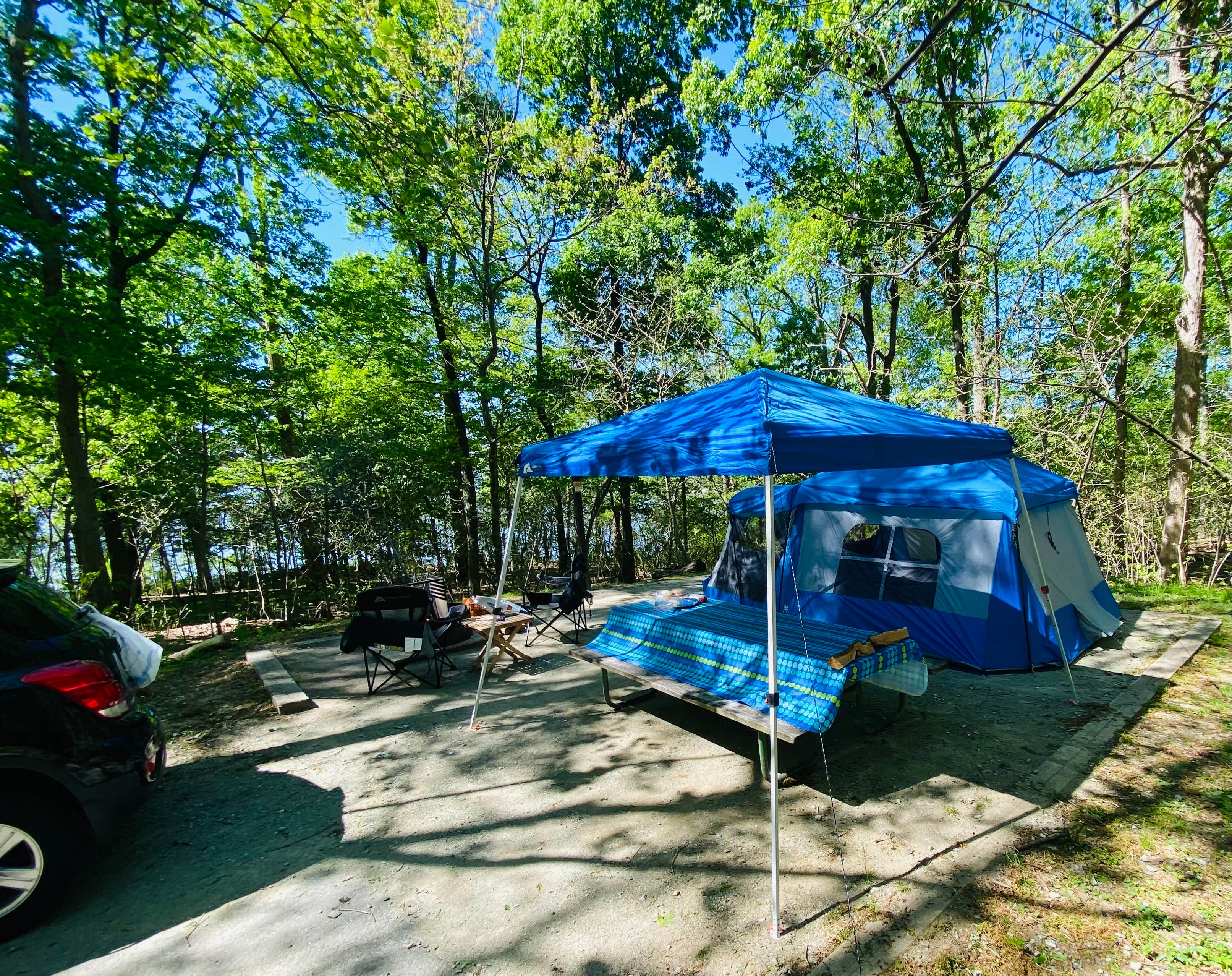 Best Dispersed Camping In Maryland The Dyrt