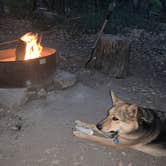 Review photo of Mt. Figueroa Campground by Elizabeth B., May 31, 2021