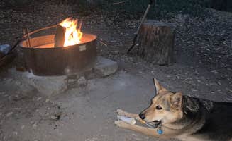 Elizabeth B.'s photo of camping with pets at Los Padres National Forest Figueroa Campground near Santa Maria, CA
