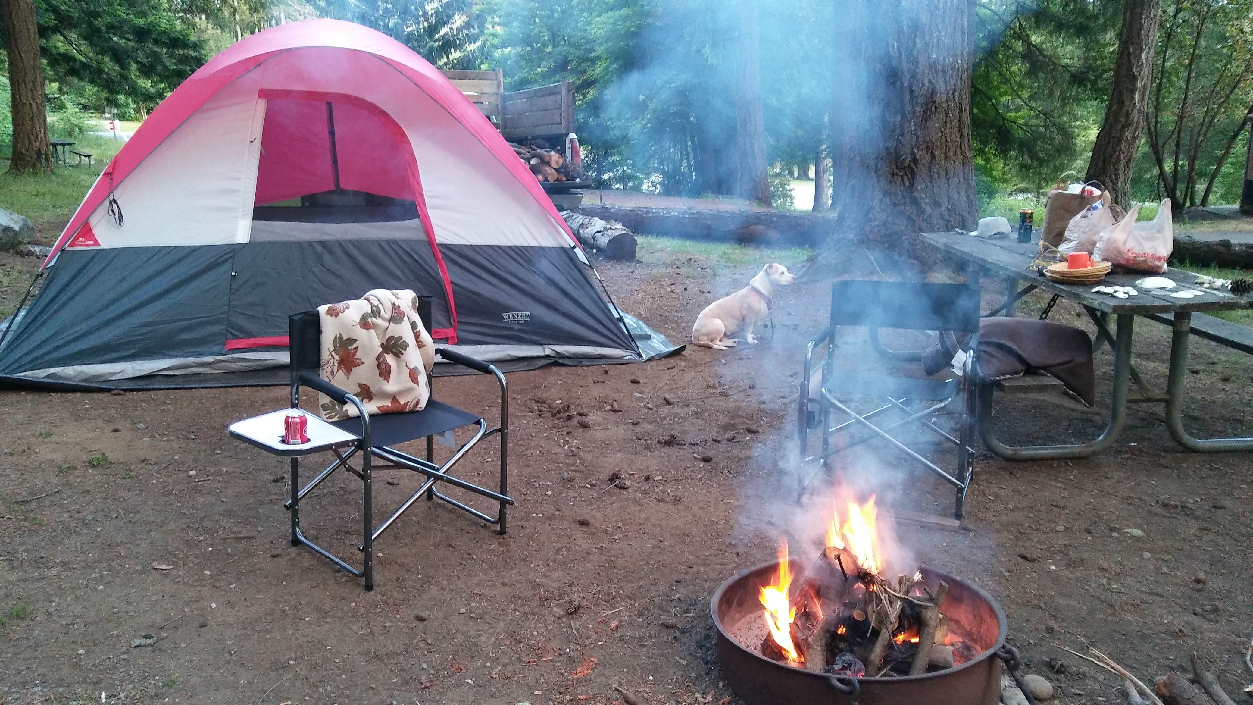 Dana R.'s photo of a dispersed camping area at Joemma Beach State Park Campground near Lake Tapps, WA