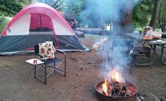 Dana R.'s photo of a dispersed camping area at Joemma Beach State Park Campground near Aberdeen, WA