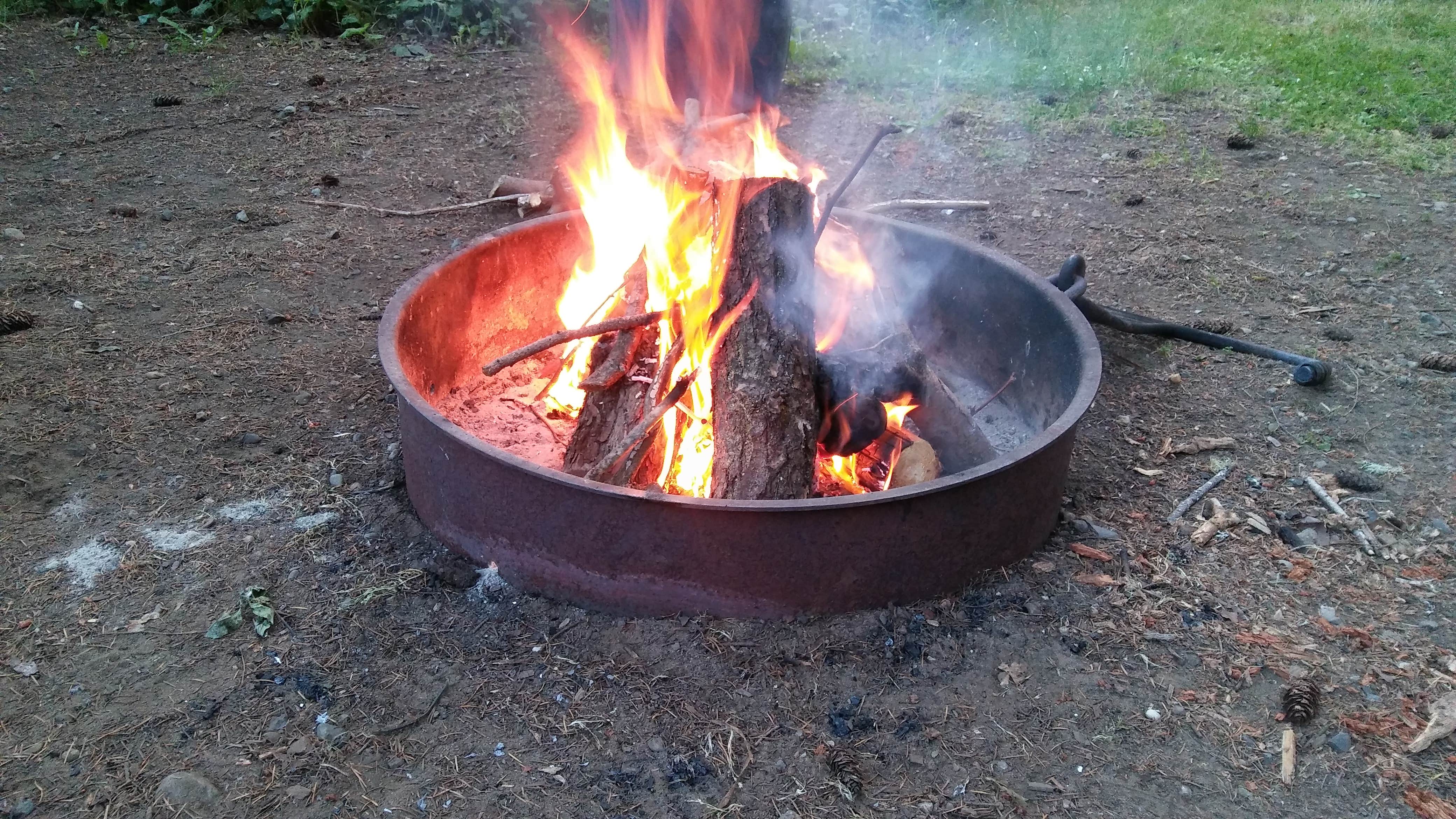 Dana R.'s photo at Joemma Beach State Park Campground near Tacoma, WA