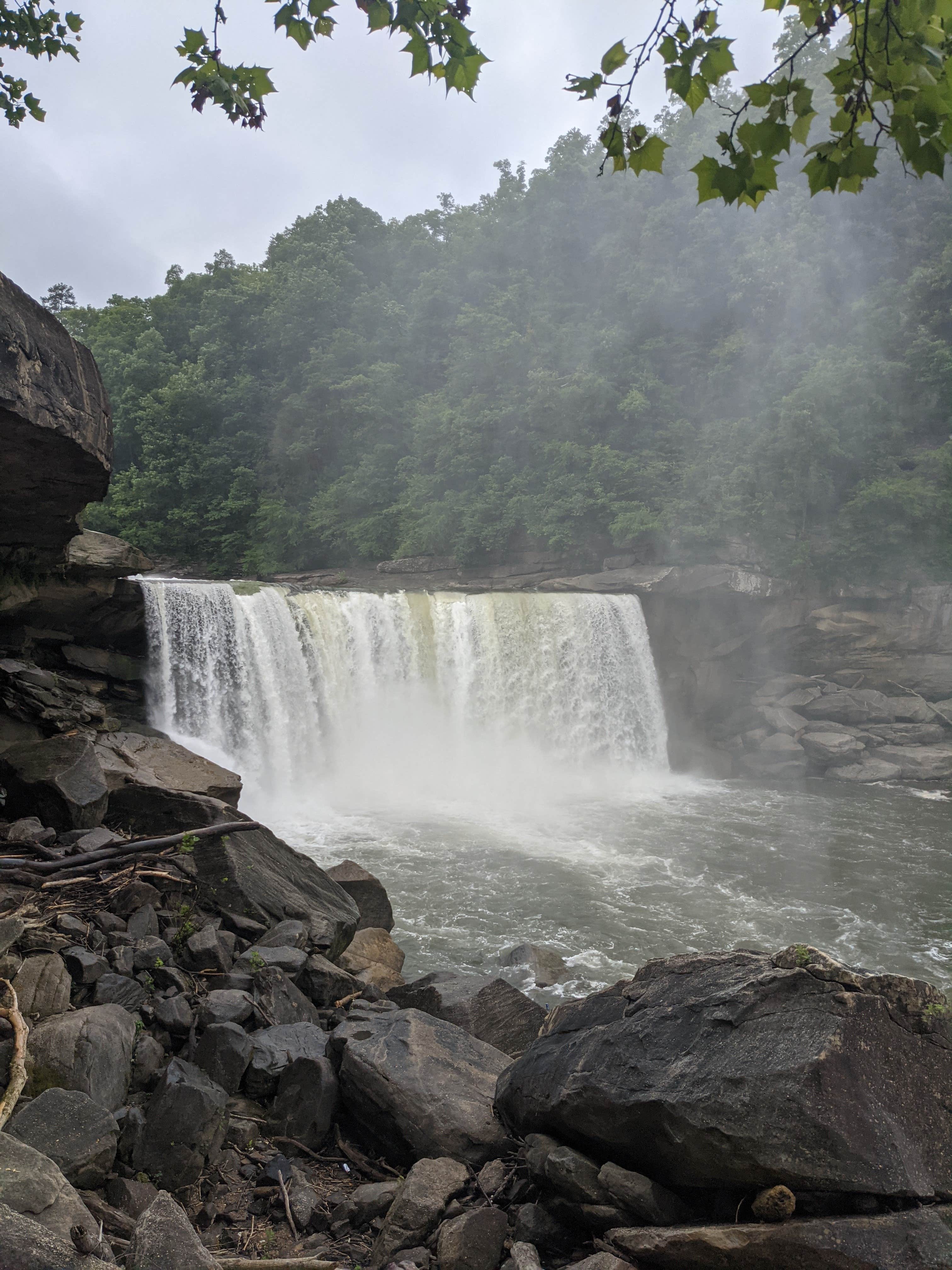 Camper submitted image from Laurel Lake Camping Resort - 4