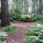 Review photo of Joemma Beach State Park Campground by Dana R., June 6, 2018