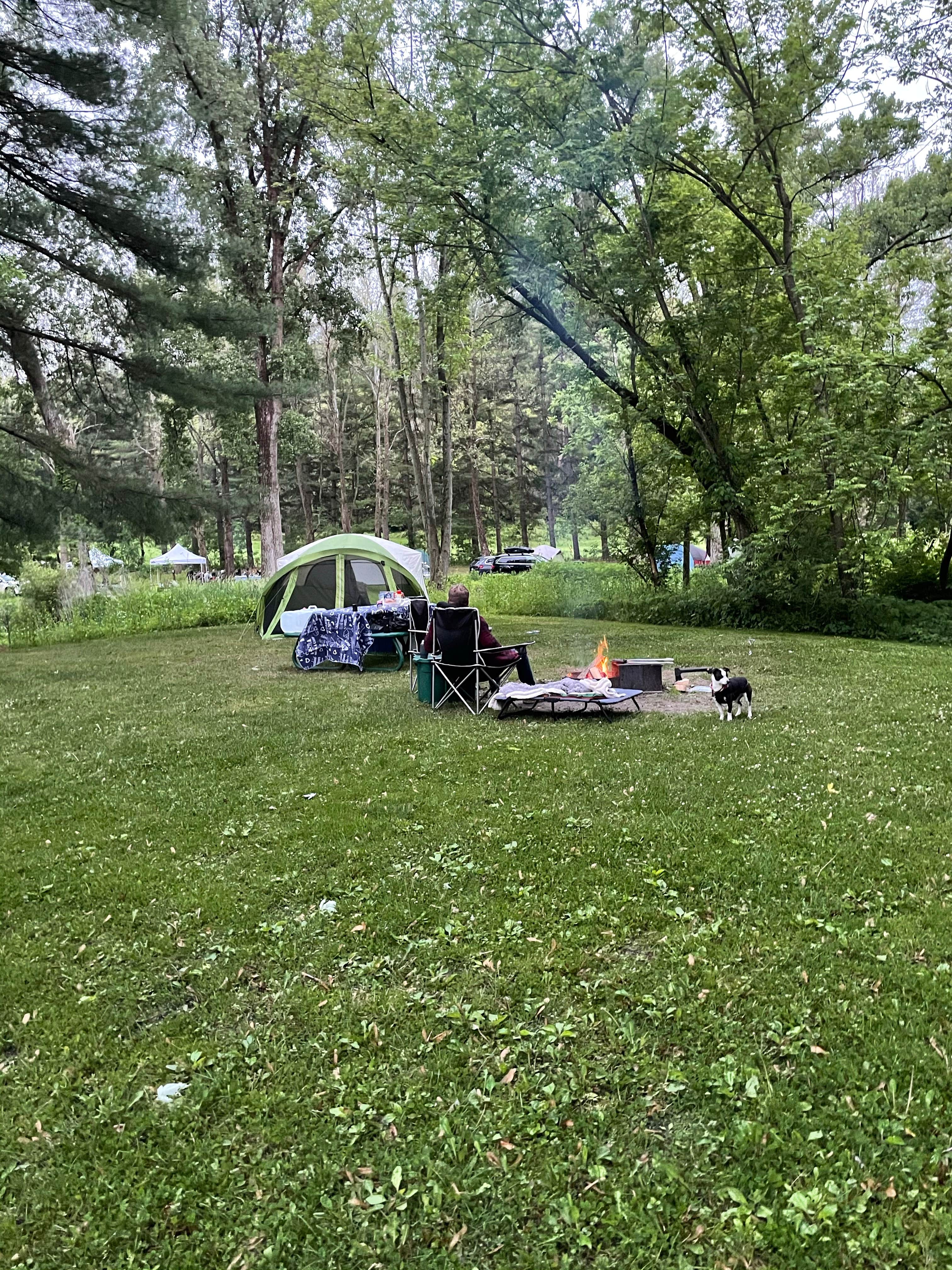 Camper submitted image from Mississippi Palisades State Park Campground - 1