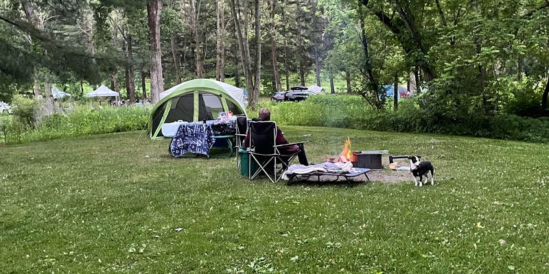 Camper submitted image from Mississippi Palisades State Park Campground