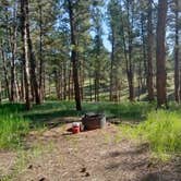 Review photo of Red Shale Campground & Geocache Site by Grace T., May 31, 2021