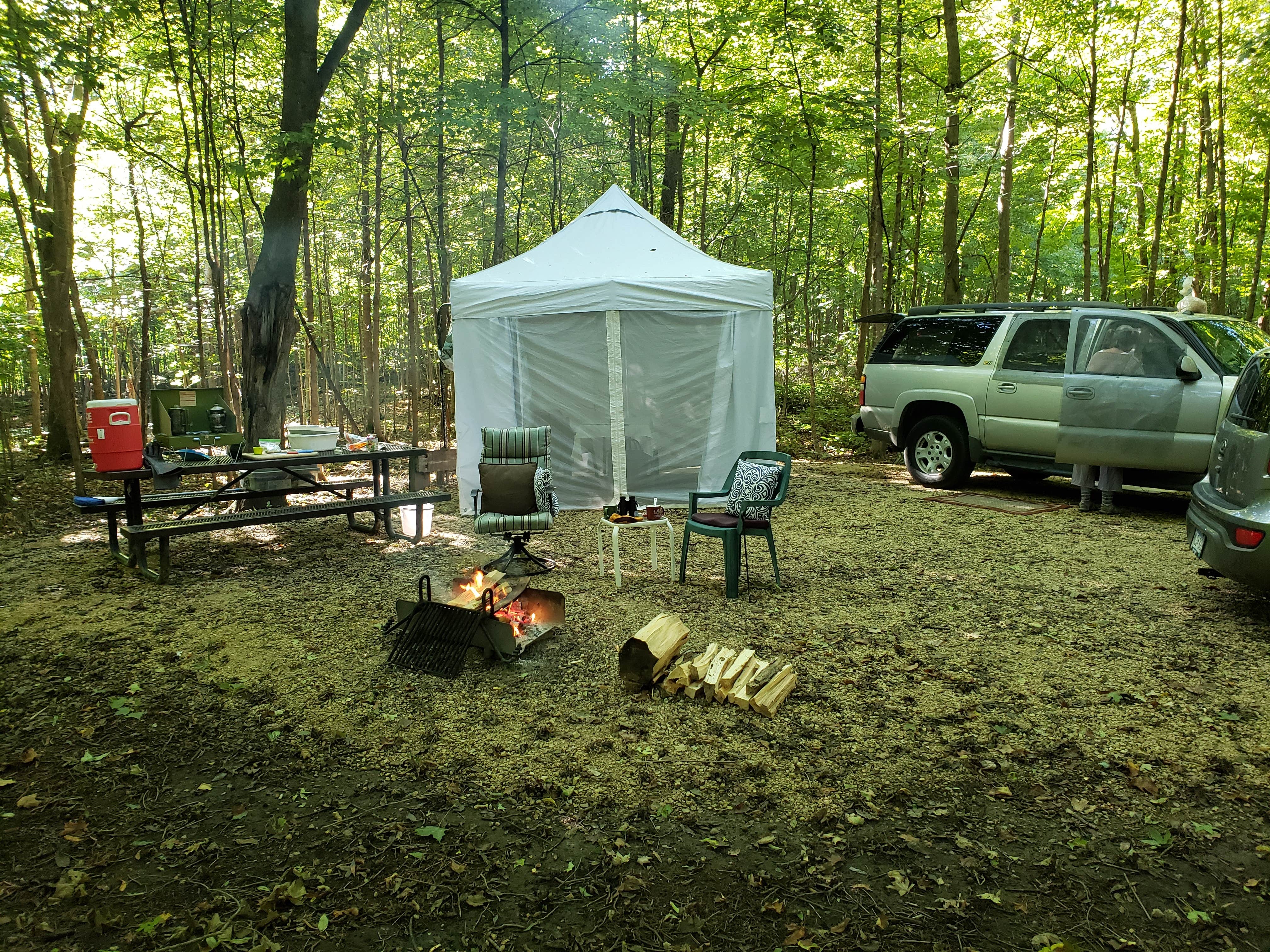 Camper-submitted photo at Highland Ridge - Eau Galle Reservoir near Elmwood, WI