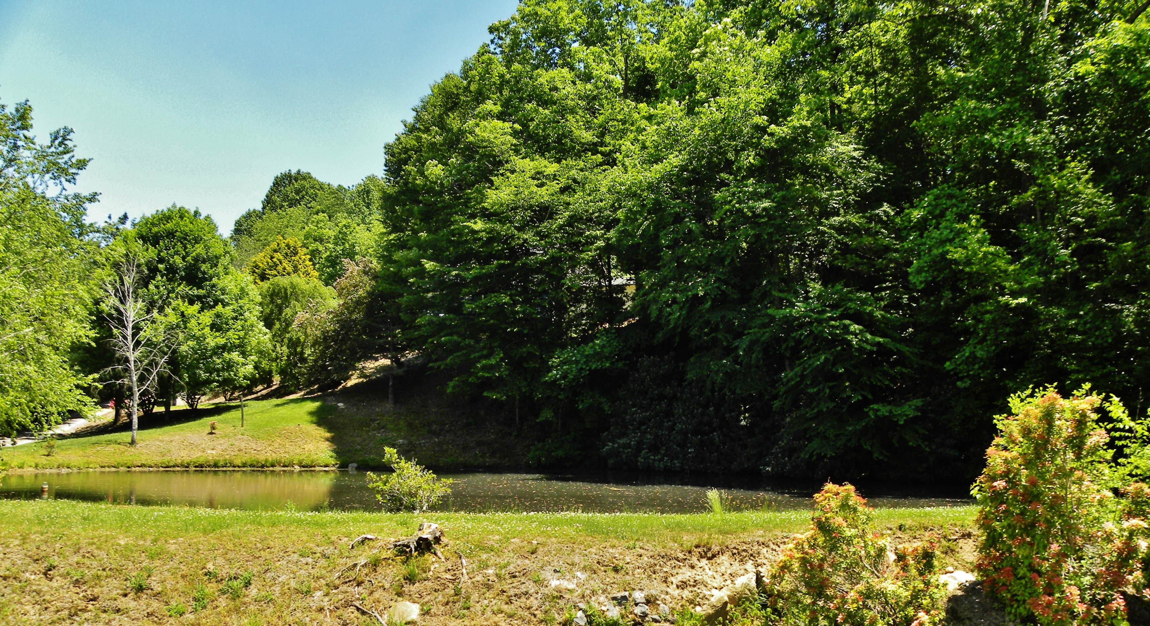 Camper-submitted photo at Trails End RV Park near Maggie Valley, NC