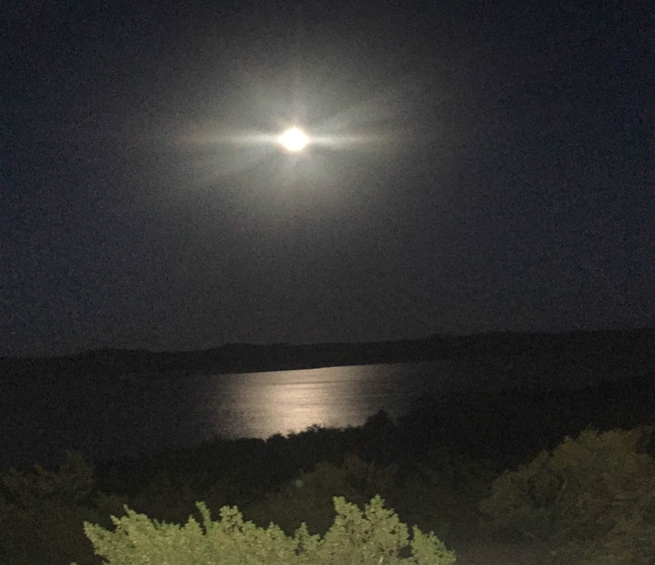 Camper submitted image from Lower Ridge Road — Elephant Butte Lake State Park - 2