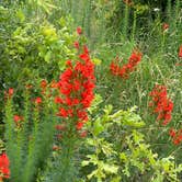 Review photo of Cross Timbers — Lake Mineral Wells State Park by Deborah C., May 31, 2021