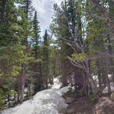 Review photo of Goblin's Forest Goblin's Forest — Rocky Mountain National Park by Heather  A., May 31, 2021