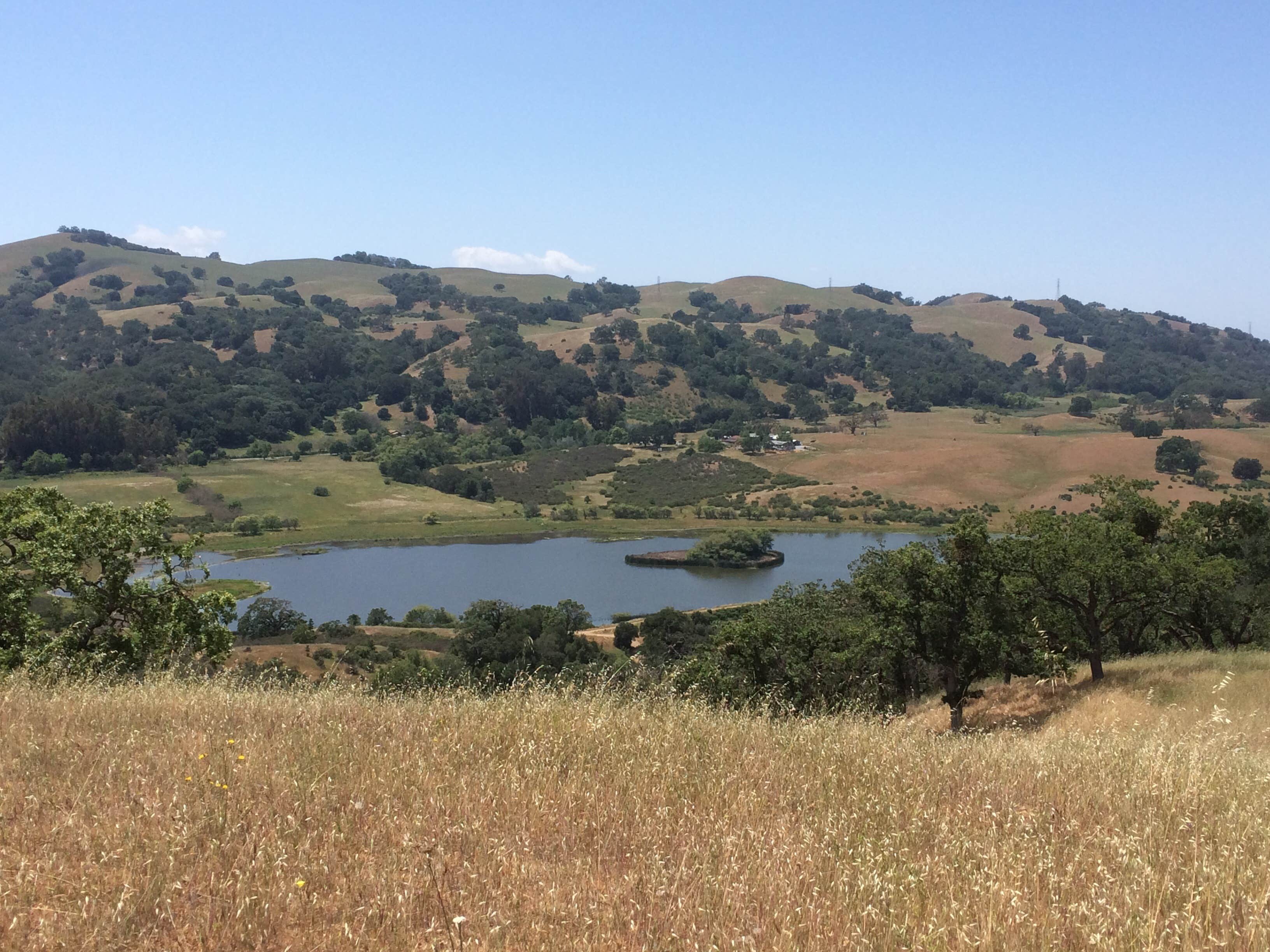 Camper-submitted photo at Joseph D Grant County Park - Horse Camp near Capitola, CA