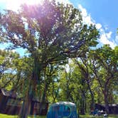 Review photo of Sunrise Campground — Lake Shetek State Park by Kyle B., June 6, 2018