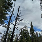 Review photo of Goblin's Forest Goblin's Forest — Rocky Mountain National Park by Heather  A., May 31, 2021