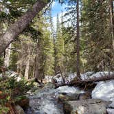 Review photo of Goblin's Forest Goblin's Forest — Rocky Mountain National Park by Heather  A., May 31, 2021