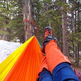 Review photo of Goblin's Forest Goblin's Forest — Rocky Mountain National Park by Heather  A., May 31, 2021