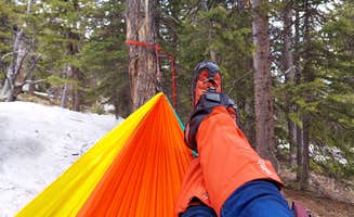 Heather  A.'s photo of tent camping at Goblin's Forest Goblin's Forest — Rocky Mountain National Park near Johnstown, CO