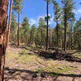 Review photo of El Porvenir Campground by brianna , May 31, 2021