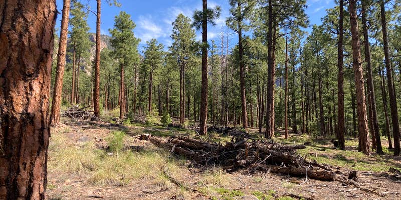 Camper submitted image from El Porvenir Campground