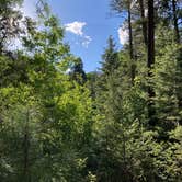 Review photo of El Porvenir Campground by brianna , May 31, 2021
