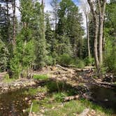 Review photo of El Porvenir Campground by brianna , May 31, 2021