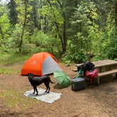 Review photo of El Porvenir Campground by brianna , May 31, 2021
