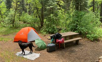 brianna's photo of camping with pets at El Porvenir Campground near Tererro, NM