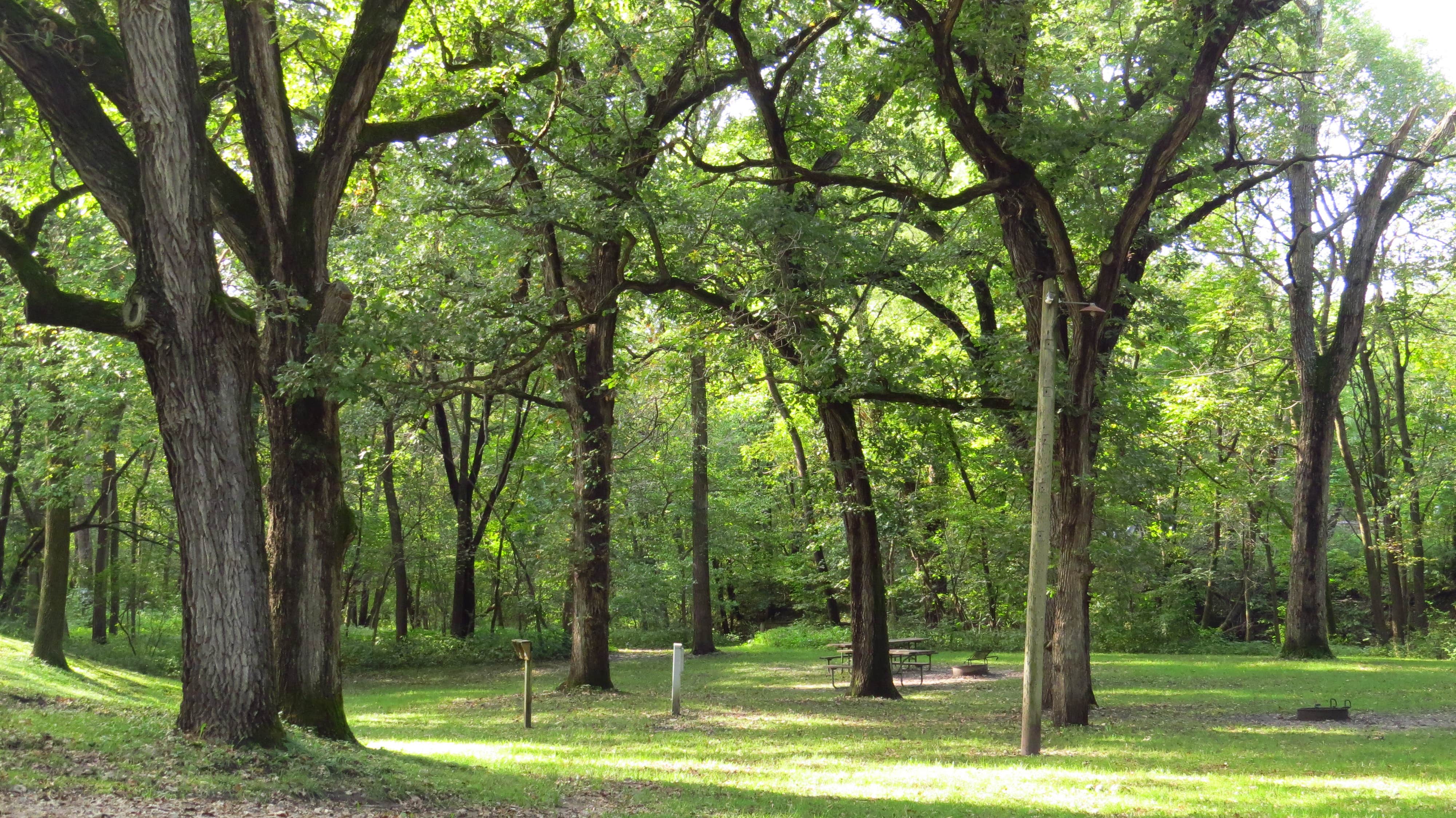 Escape To Nature’s Embrace: Unwind At Iowa’s Briggs Woods Park