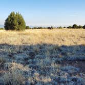 Review photo of Black Canyon Campground - Lower by Mark O., May 31, 2021