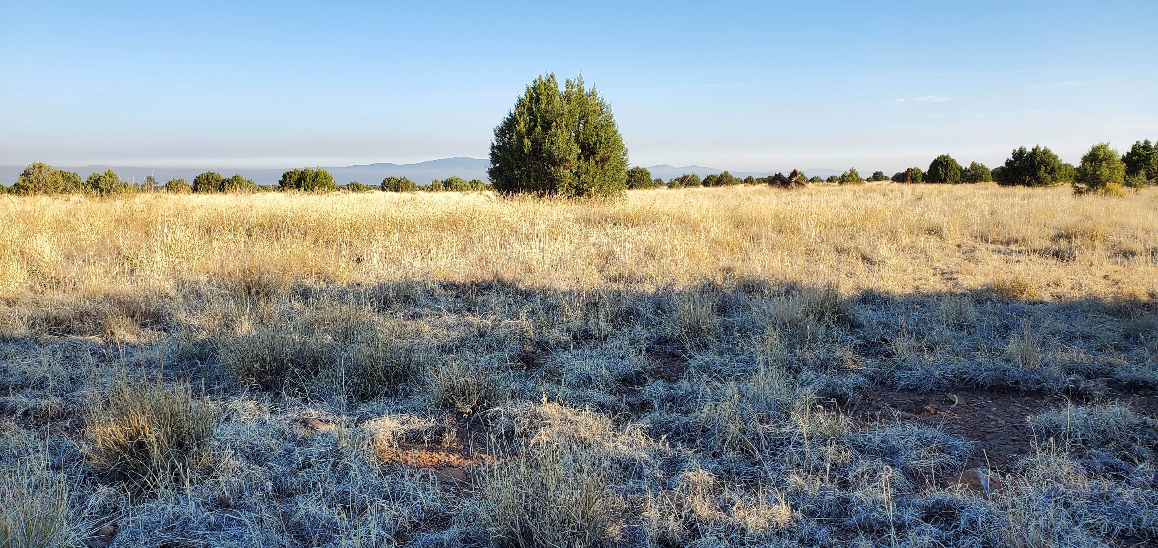 Camper submitted image from Black Canyon Campground - Lower - 1