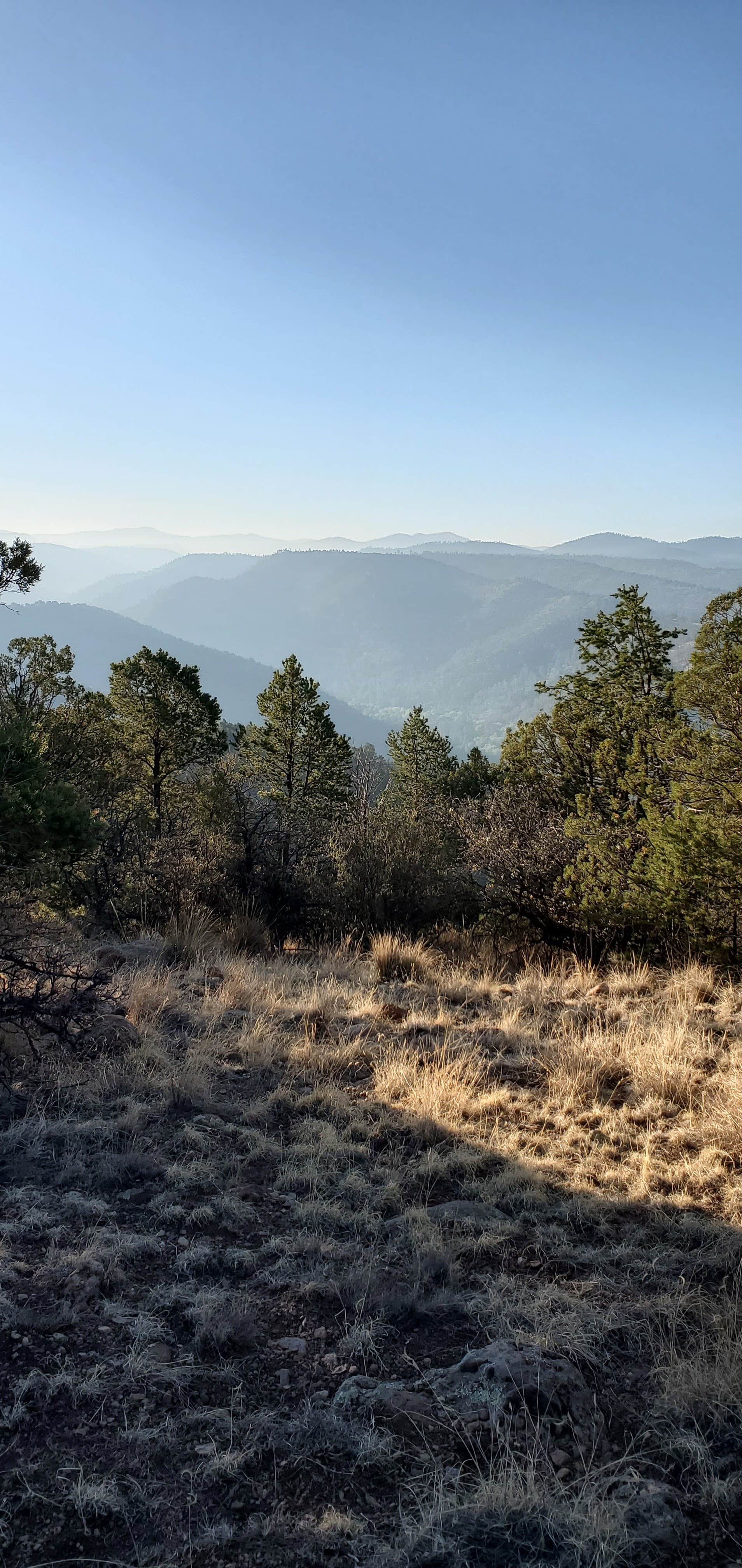 Camper submitted image from Black Canyon Campground - Lower - 2