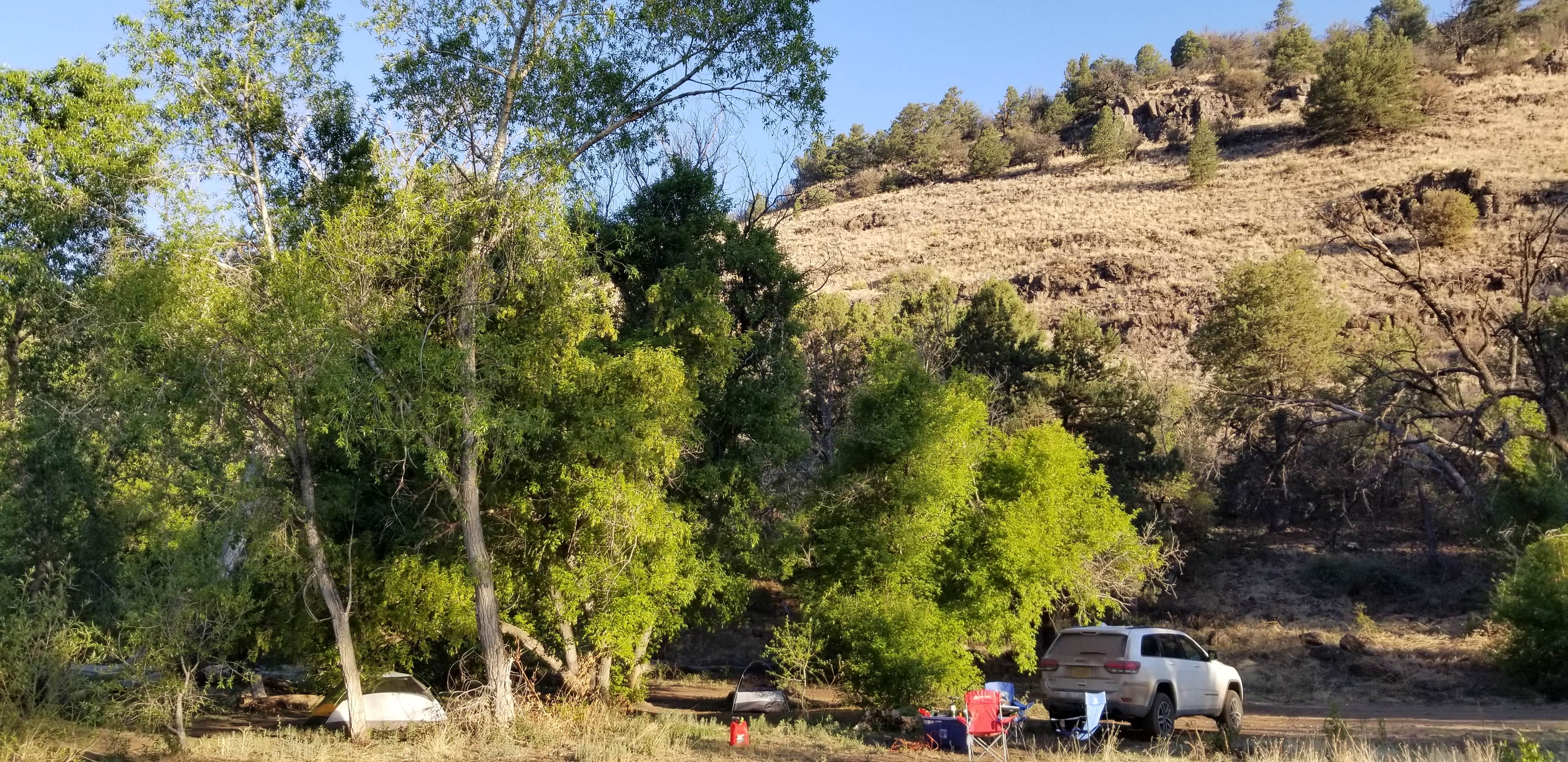 Camper submitted image from Black Canyon Campground - Lower - 5