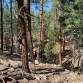 Review photo of Black Canyon Campground - Lower by Mark O., May 31, 2021