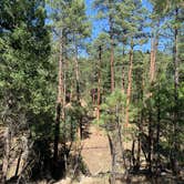 Review photo of Black Canyon Campground - Lower by Mark O., May 31, 2021